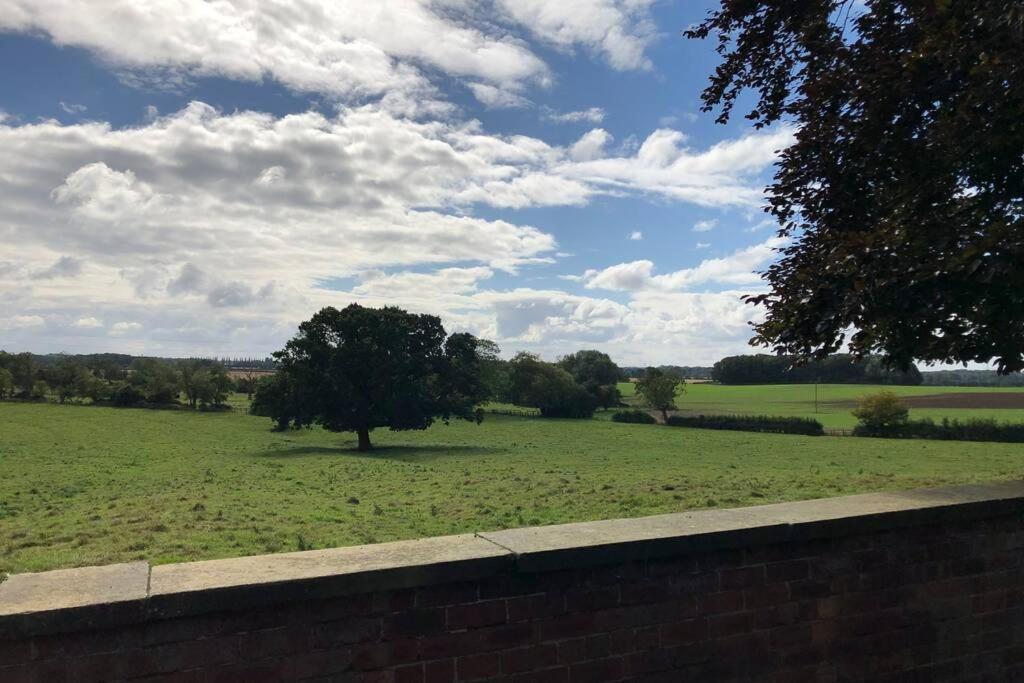 Hall Cottage, Wighill Near York And Leeds タッドカスター エクステリア 写真